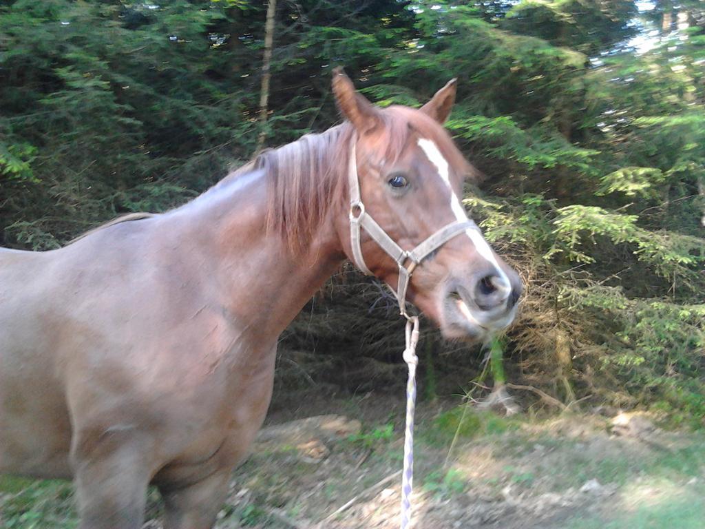Gite Bella Ebly Exterior foto